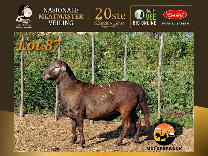 25 29 | Muldersbank Meatmasters