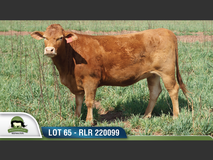 RLR 220099 | RHENOSTERVALLEI