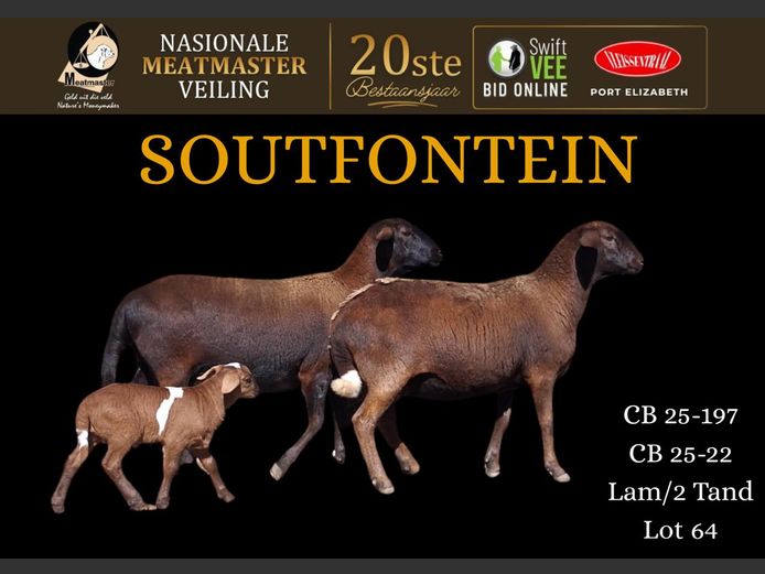 CB 25-22 | Soutfontein Meatmasters