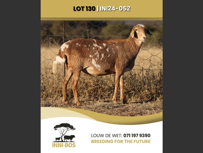 INI 24-052 | INI-BOS BOSVELDER