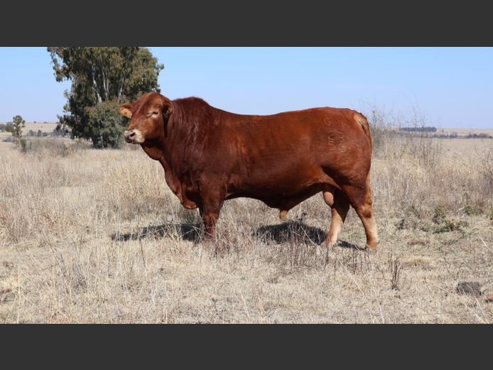 GBB2356 | GOEDGENOEG BOERDERY PTY LTD
