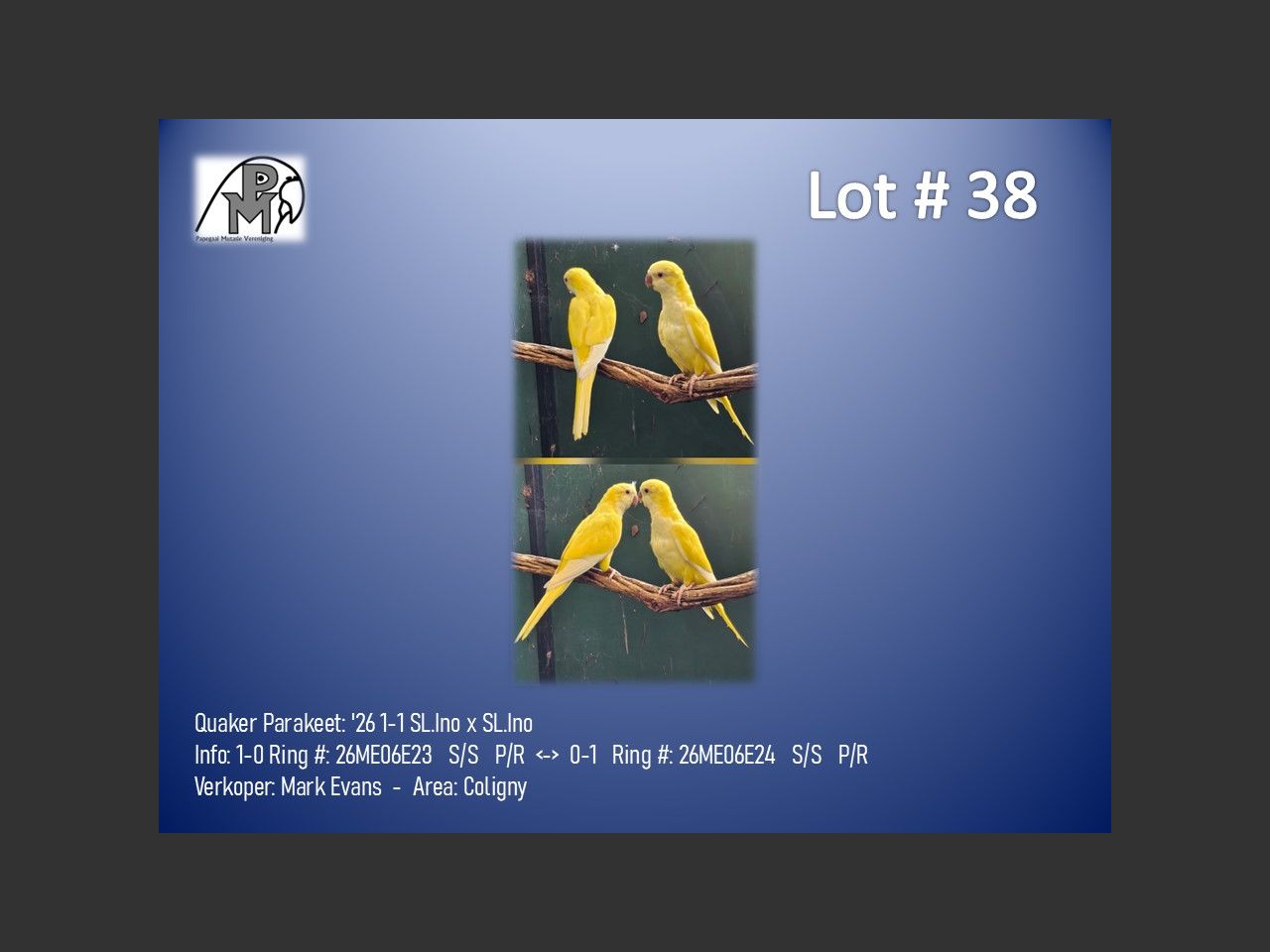 images