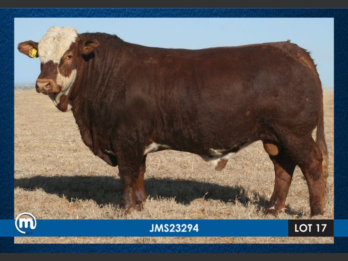 JMS23294