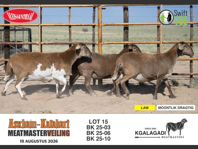 BK 25-03 | BARRI KNOETZE