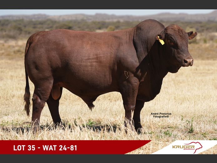 WAT240081 | KRUGER BOERDERY