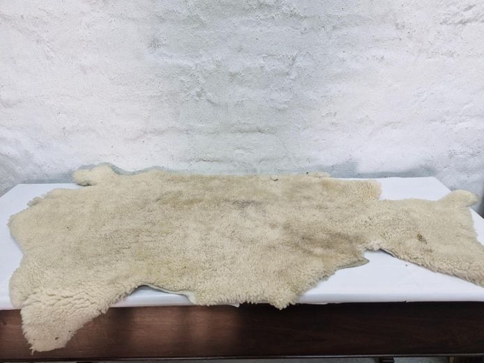 Natural Cream Sheepskin Pelt Throw Rug
