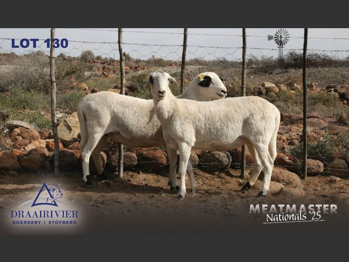 NS 23 438 | Nollie Stofberg - Draairivier Boerdery