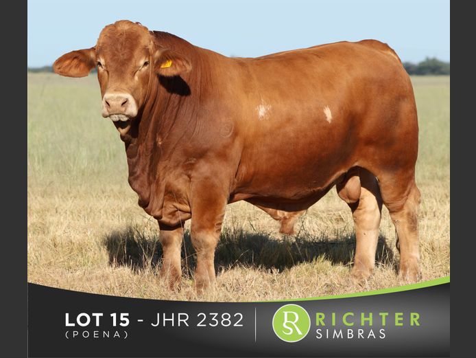 JHR2382