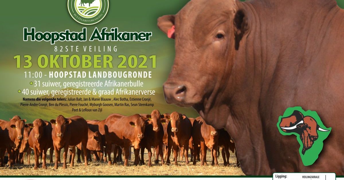 HOOPSTAD AFRIKANER AUCTION | SwiftVEE | South Africa’s Leading Online ...