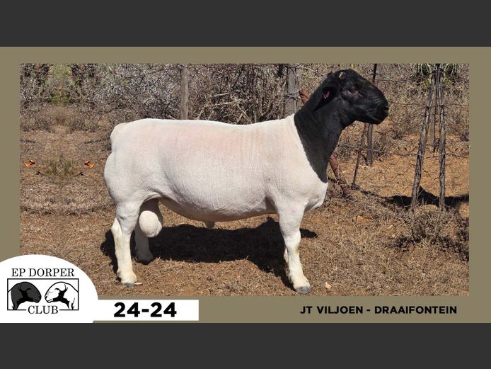 24-24  |  JT VILJOEN - DRAAIFONTEIN