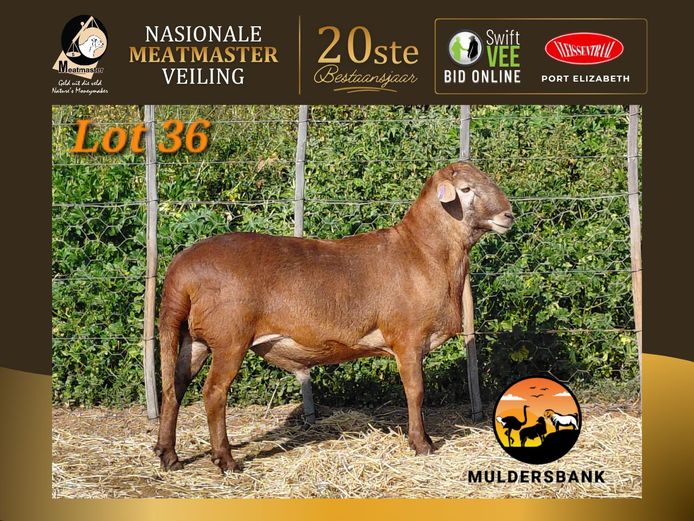 25 84 | Muldersbank Meatmasters