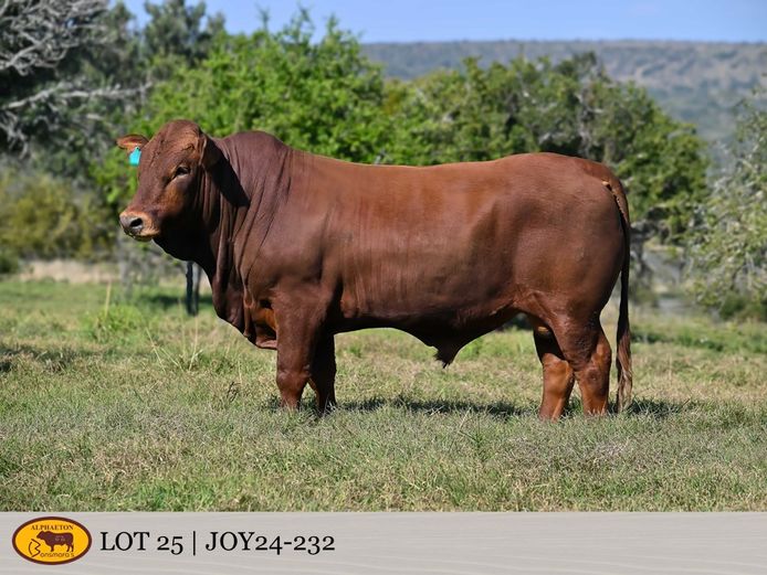 JOY240232 | FETTING LIVESTOCK TRUST