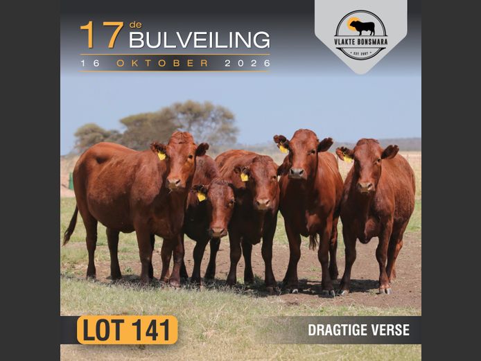 Commercial Animals | Tian Kruger Boerdery