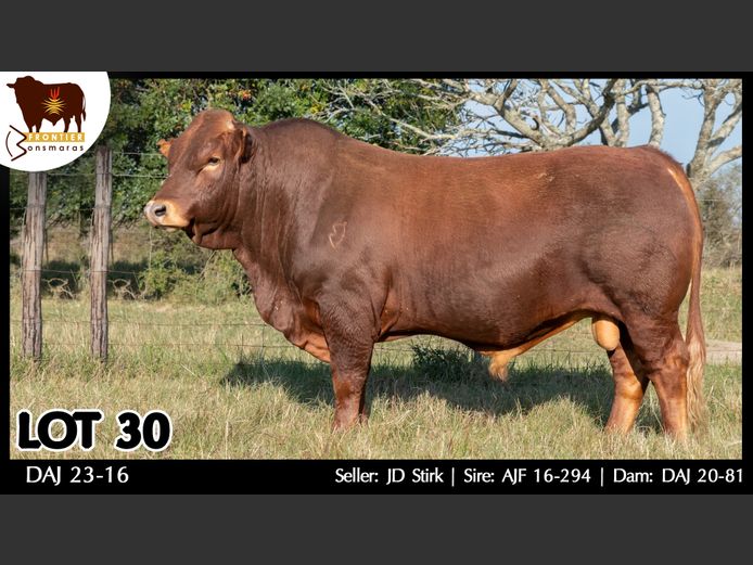 DAJ 230016 | J.D. STIRK