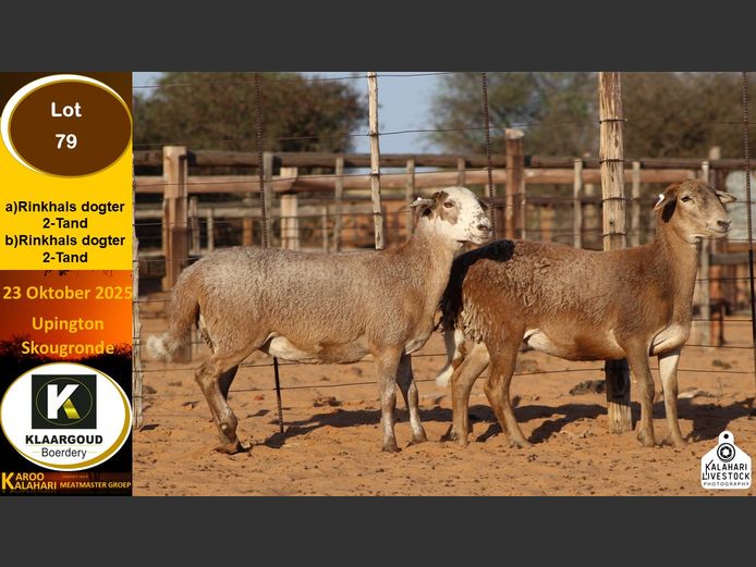 CP 79A | Chris Potgieter & Christia Scholtz - Klaargoud Boerdery