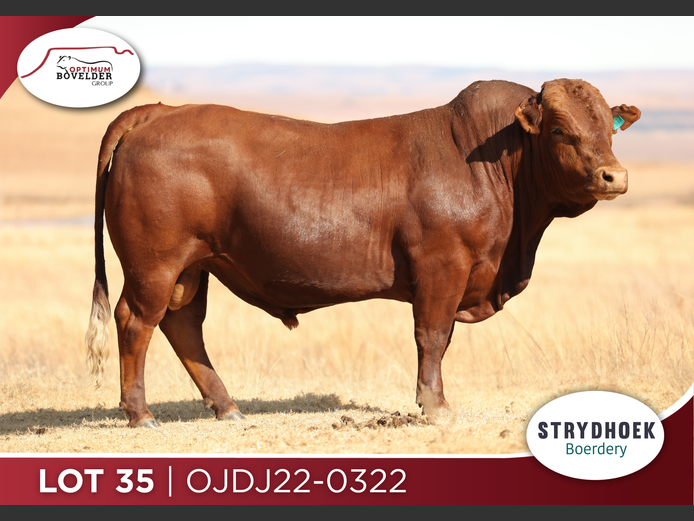 OJDJ22-0322