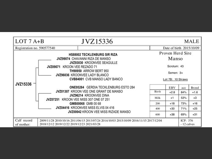 JVZ15-336