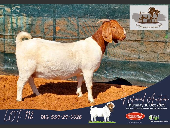 554-24-0026 | Hennie Le Roux (Witsand Boerbokstoet)