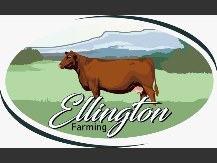 Commercial Animals |  Ellington Farming