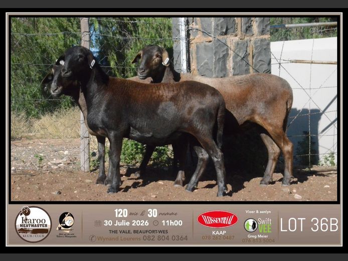 PB 2501 | Johan & Jeanne Murray - Pienaarspan Meatmasters