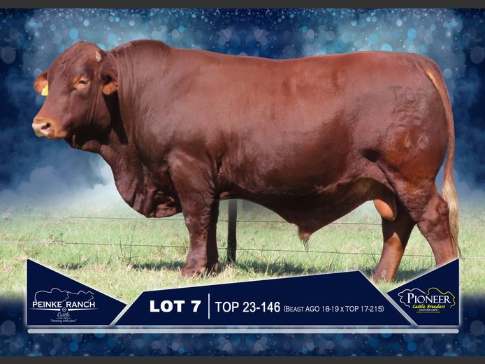 TOP 230146 | PEINKE RANCH