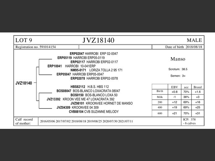 JVZ18-140