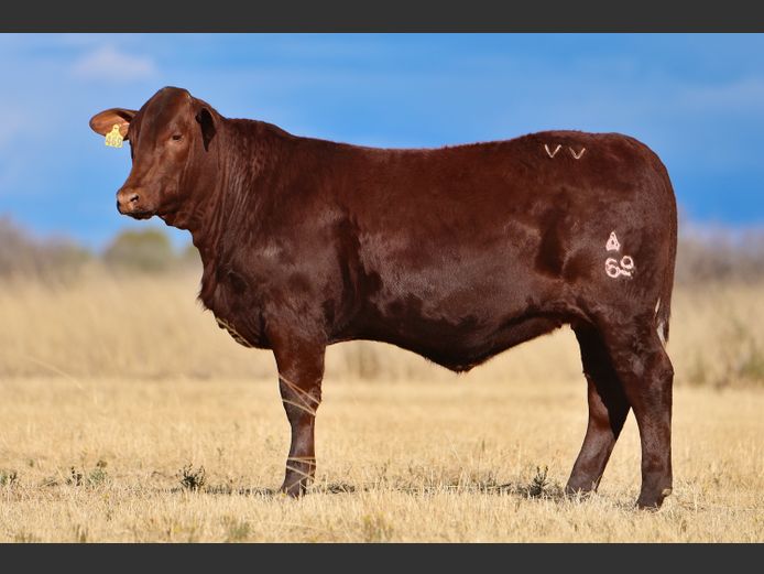 VV  240069 | T. DE JAGER