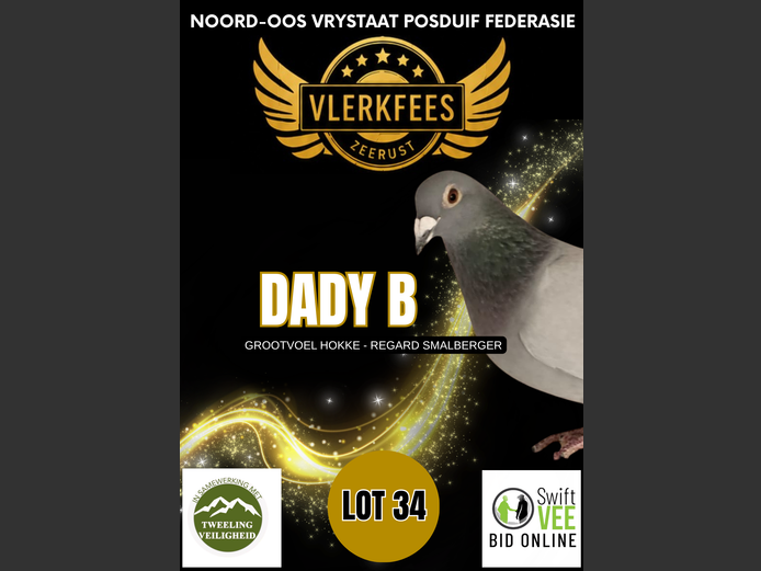 DADY B | GROOTVOEL HOKKE - REGARD SMALBERGER