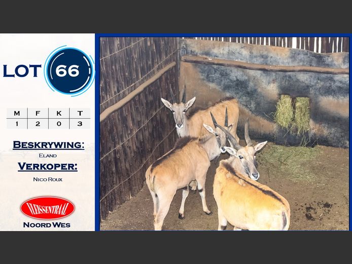 Eland