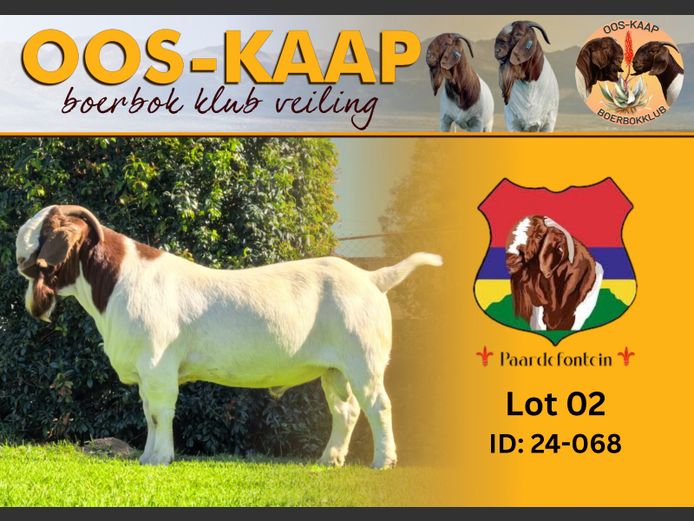 24-068 | Paardefontein BBS