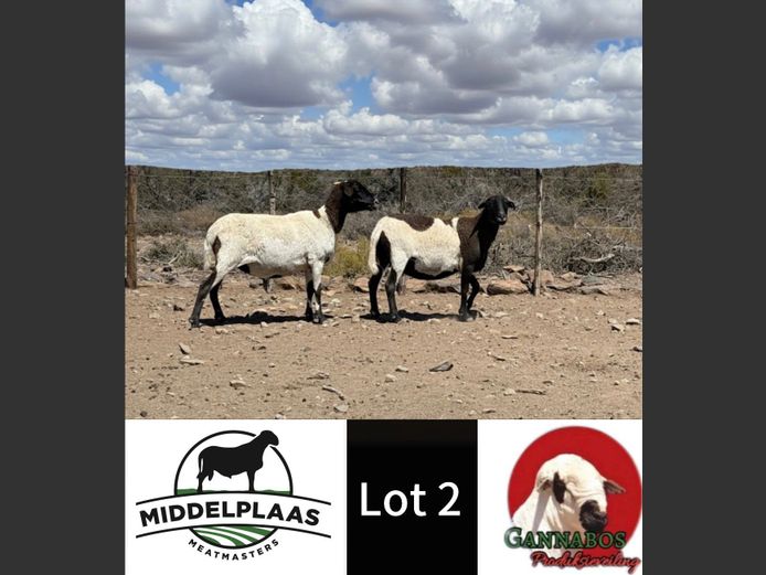 112 | Middelplaas Meatmasters
