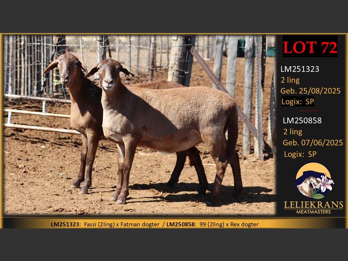 LM251323 | LELIEKRANS MEATMASTERS