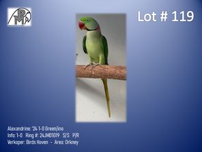 images