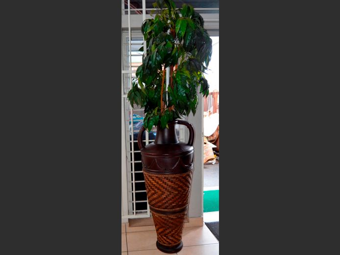LARGE 2-HANDLED PLANTER WITH EVERLASTING TREE, 52cm Diameter x 120cm High