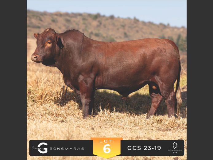GCS 230019 | G.C. STANFORD