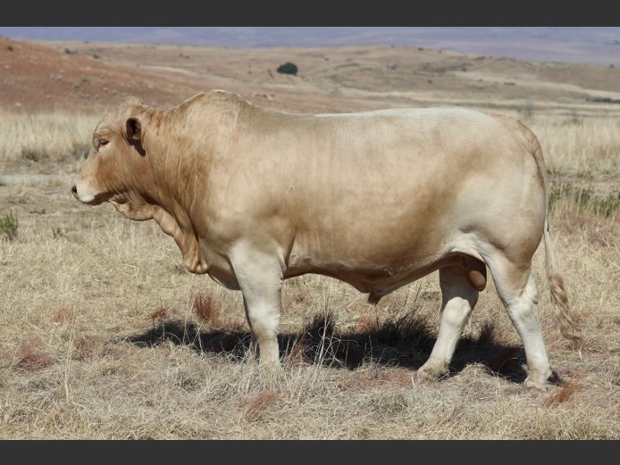 HBH 240001 | CLARK CATTLE COMPANY PTY LTD