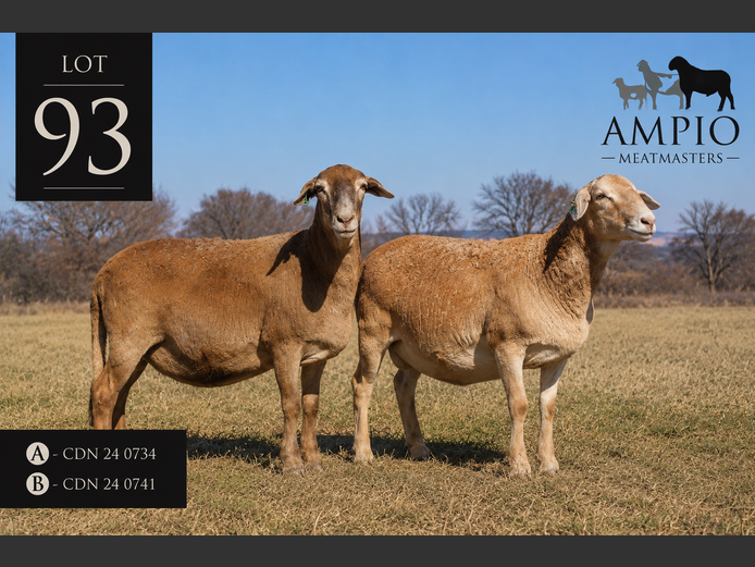 CDN 24 0741 | Ampio Meatmasters