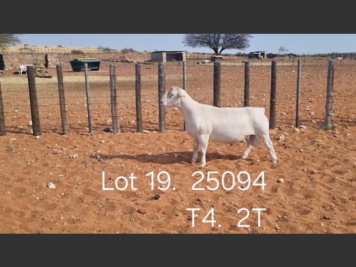 916250094W | R.J. CAHI & SON CC