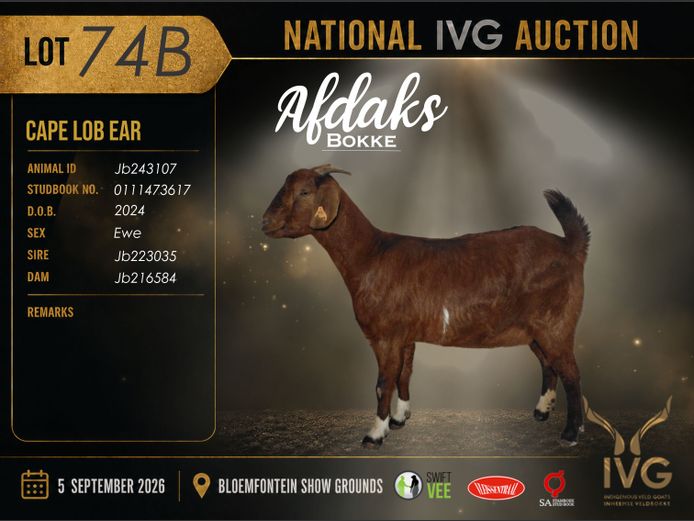 JB24 3107 | AFDAKS BOKKE