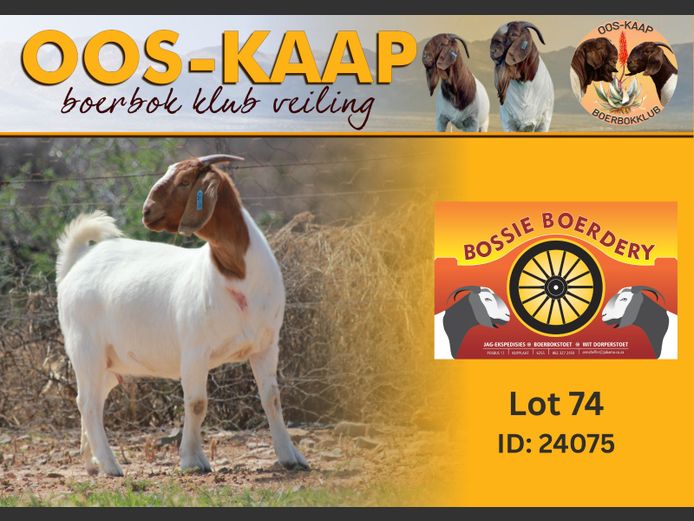 24-075 | Bossie Boerdery