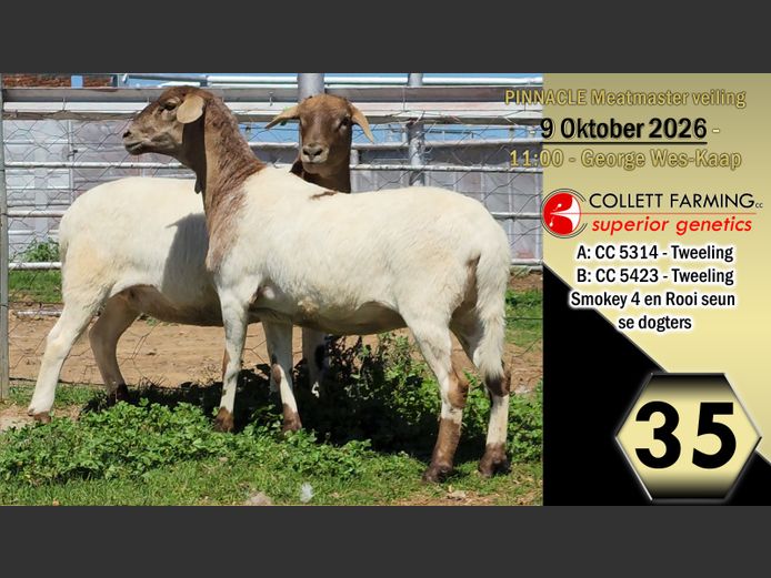 CC250314 | COLLETT FARMING CC