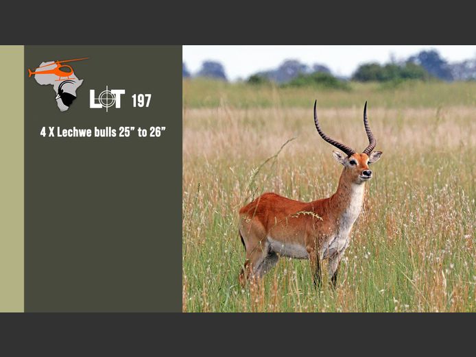 Lechwe 