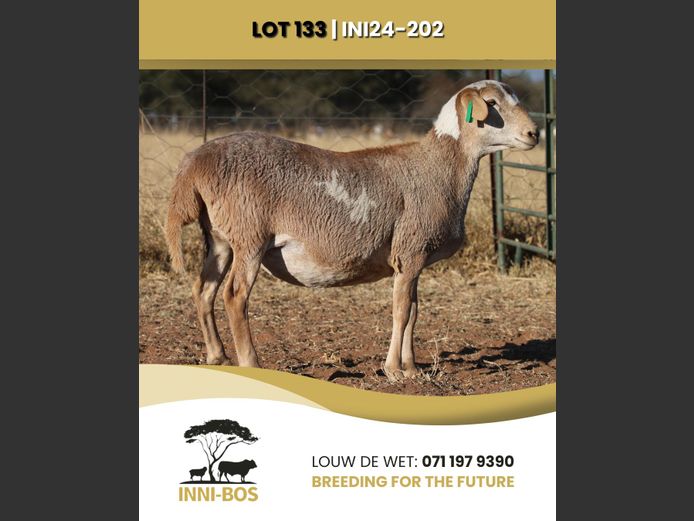 INI 24-202 | INI-BOS BOSVELDER