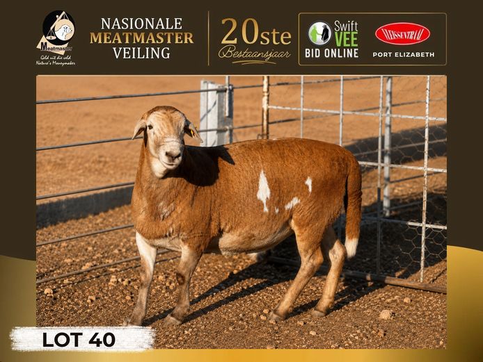 250 019 | Alicedale Meatmasters