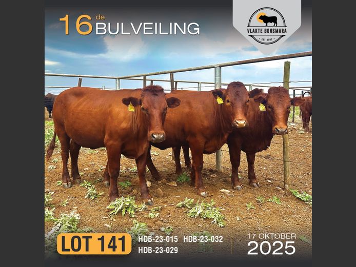 Commercial Animals | HARCOR BOERDERY