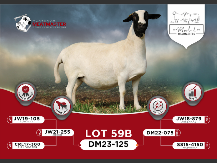 DM 23-0125 | Mario Marais - Model Meatmasters, Britz