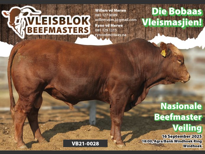21-0028VB | VLEISBLOK BEEFMASTER
