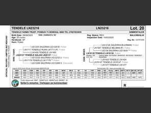 genetic_data