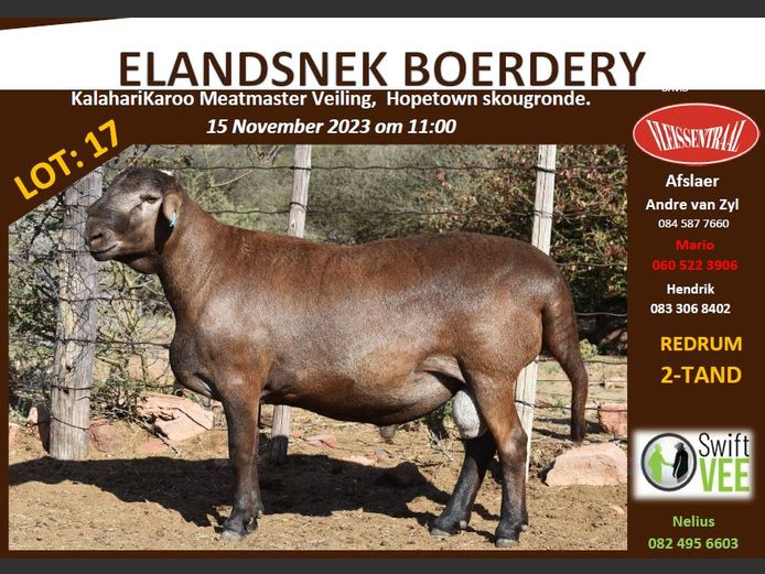 RSL B231 | ELANDSNEK BOERDERY