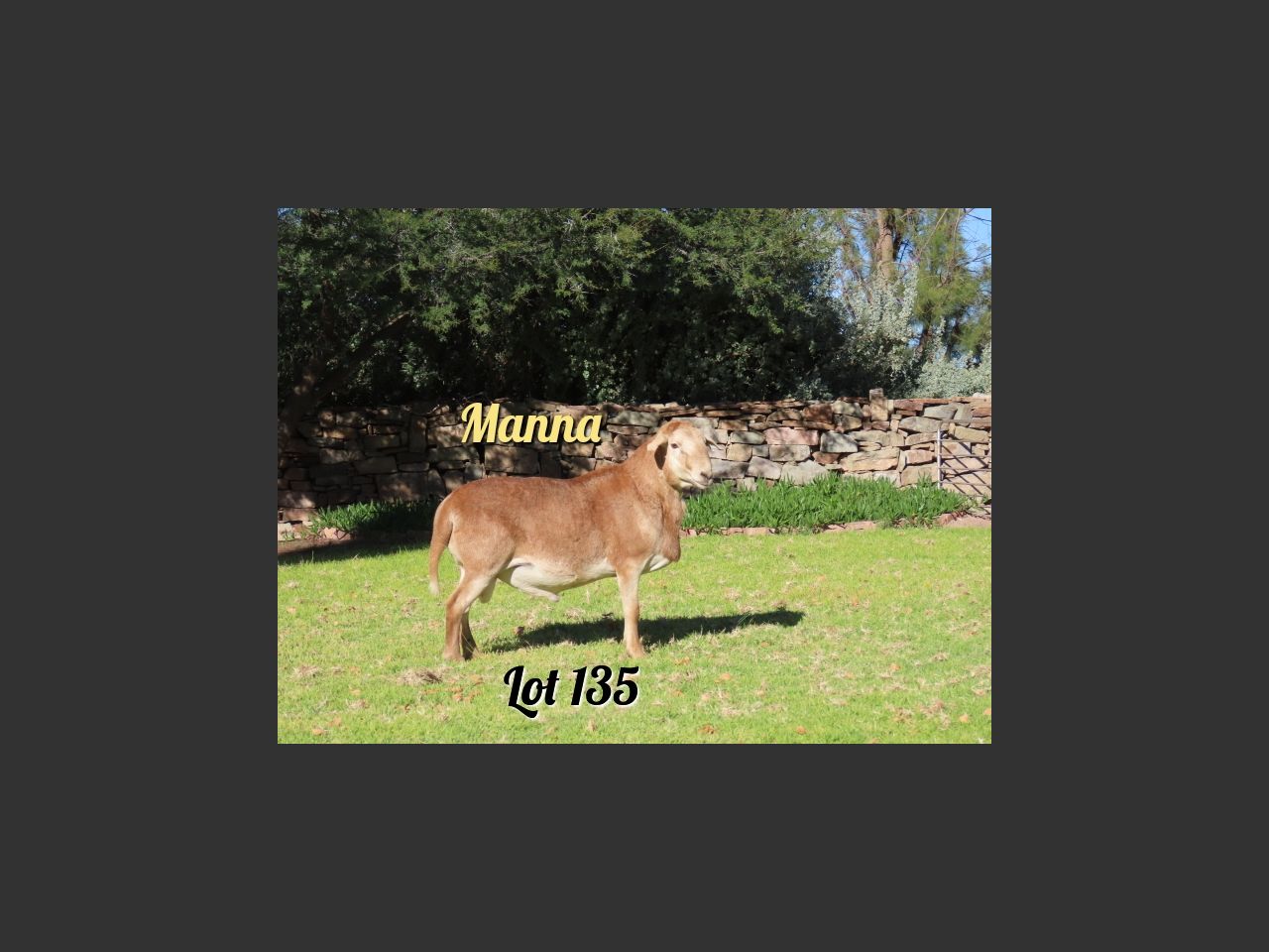 images